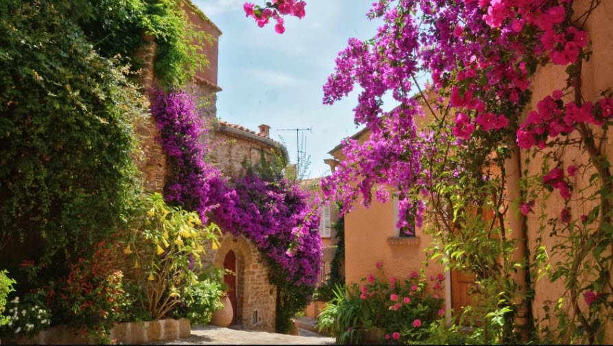 Arboretum de Gratteloup, Bormes-les-Mimosas, France, France